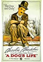 A Dog's Life (1918)