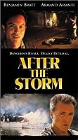 After the Storm (2001)