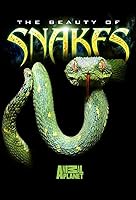 Beauty of Snakes (2003)