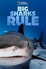 Big Sharks Rule (2018)