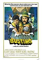 Busting (1974)