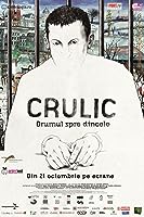 Crulic - The Path to Beyond (2011)