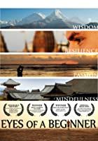 Eyes of a Beginner (2013)