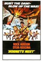 Hornets' Nest (1970)