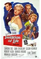 Imitation of Life (1934)