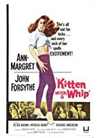 Kitten with a Whip (1965)