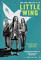 Little Wing (2024)