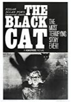 The Black Cat (1934)