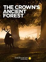 The Crown's Ancient Forest (2021)